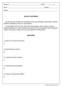 galos-e-galinhas-modelo-editavel-1