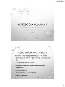 Histologia Humana II: Tecidos Conjuntivos, Muscular e Nervoso